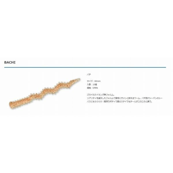 BACHI(バチワーム)  ブリーデン