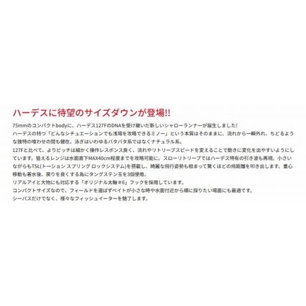 ハーデス 75F  バスデイ