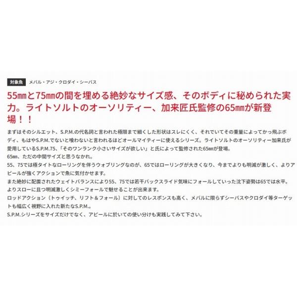 SPM65 バスデイ