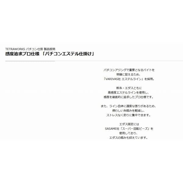 テトラワークス バチコンエントリーセット DUO