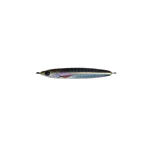 Rサーディン40g  ZEAK
