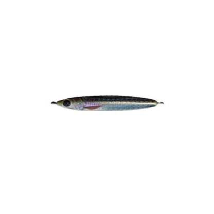 Rサーディン40g  ZEAK