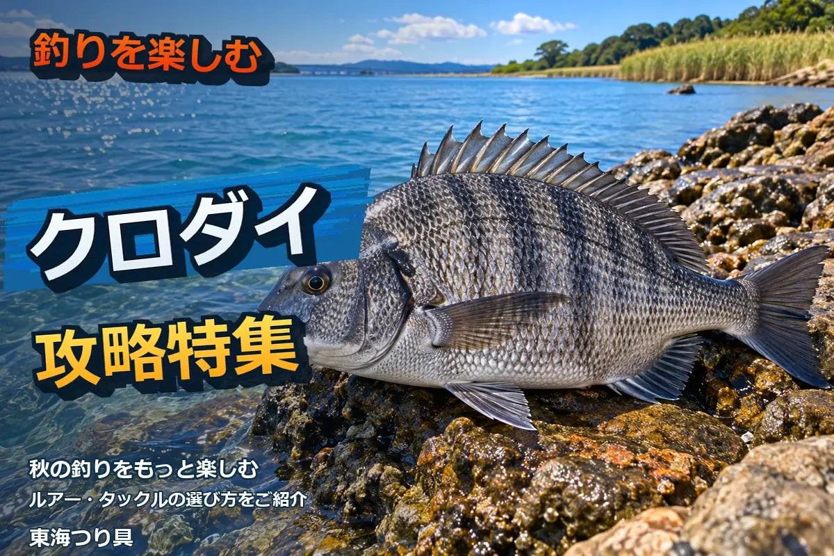 クロダイ