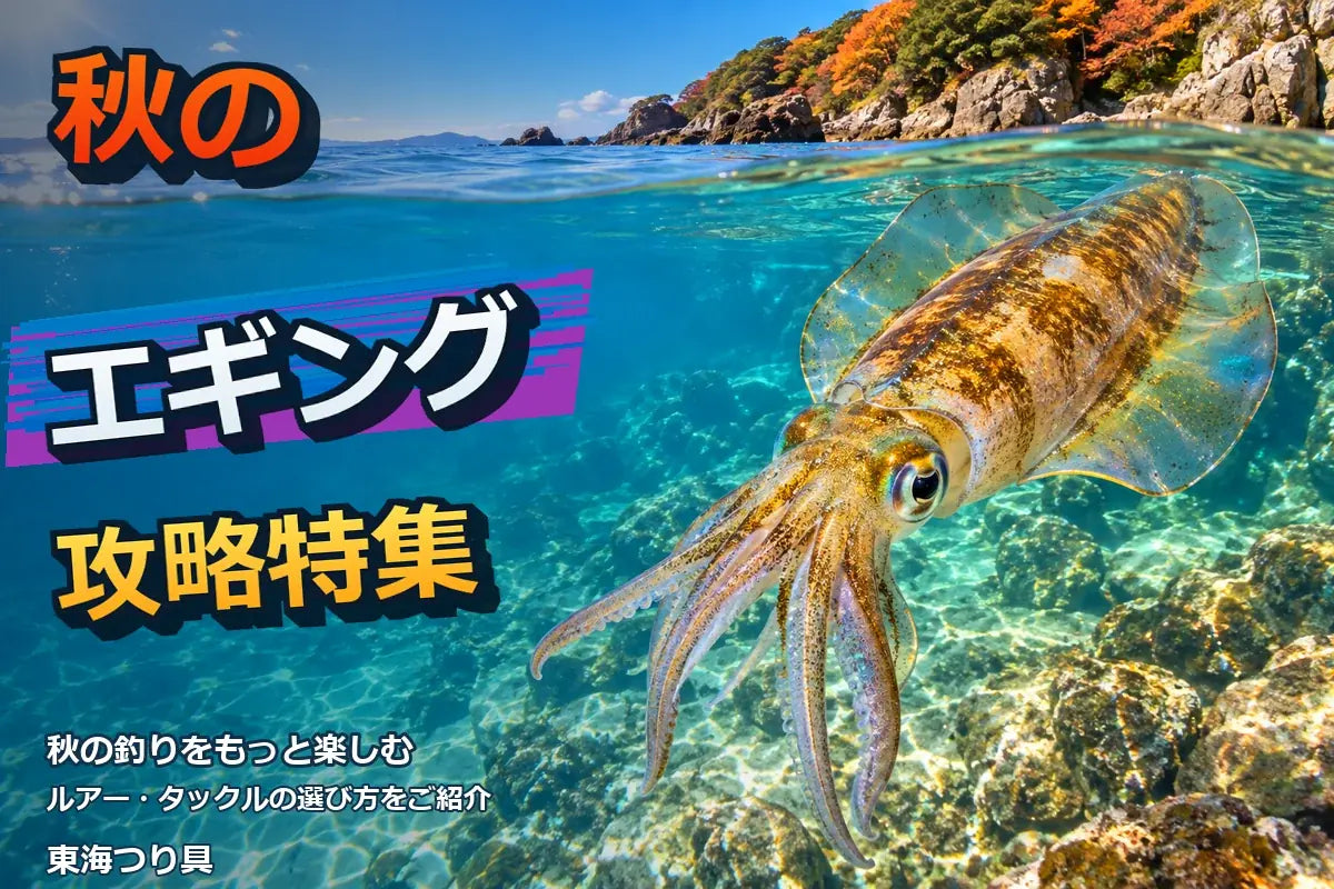 秋のエギング攻略