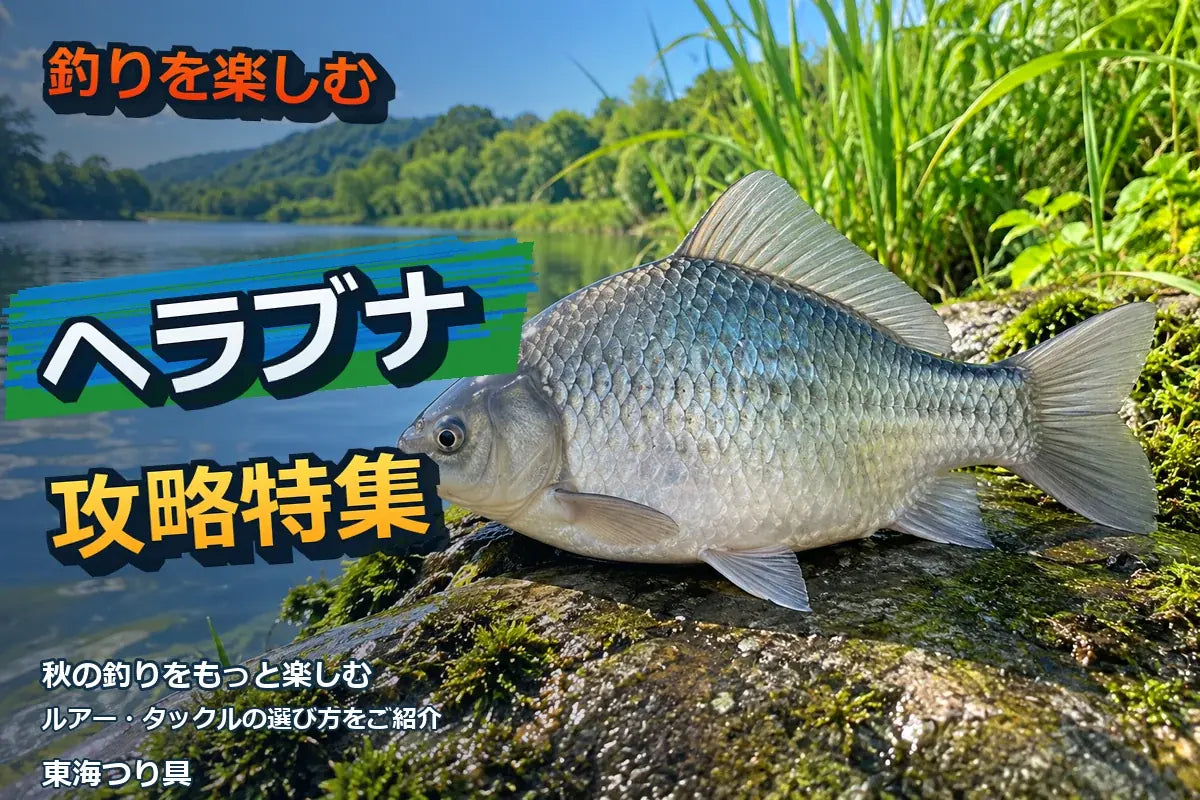 ヘラブナ釣り入門