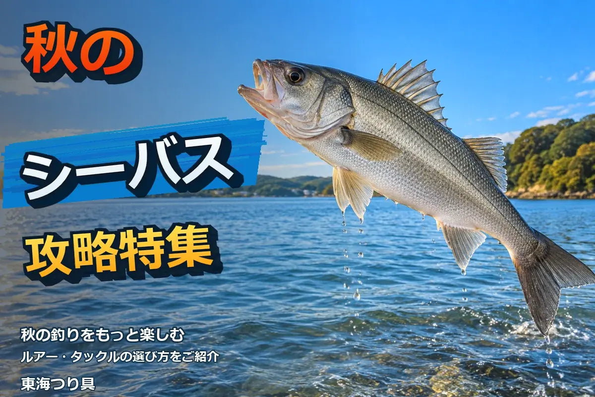 秋の浜名湖シーバス攻略